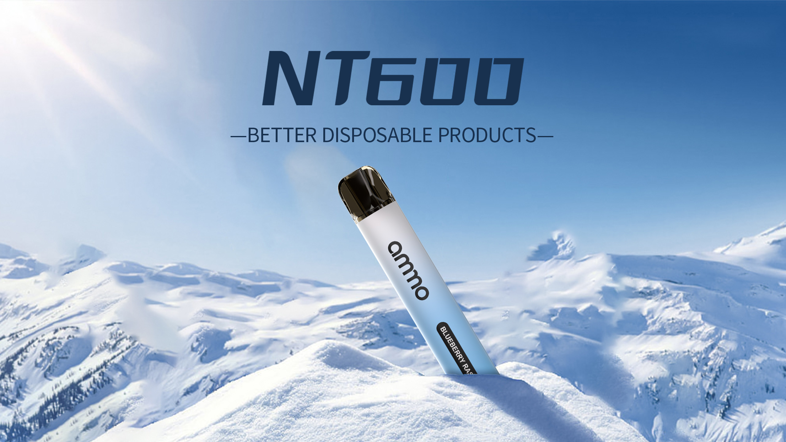 NT600