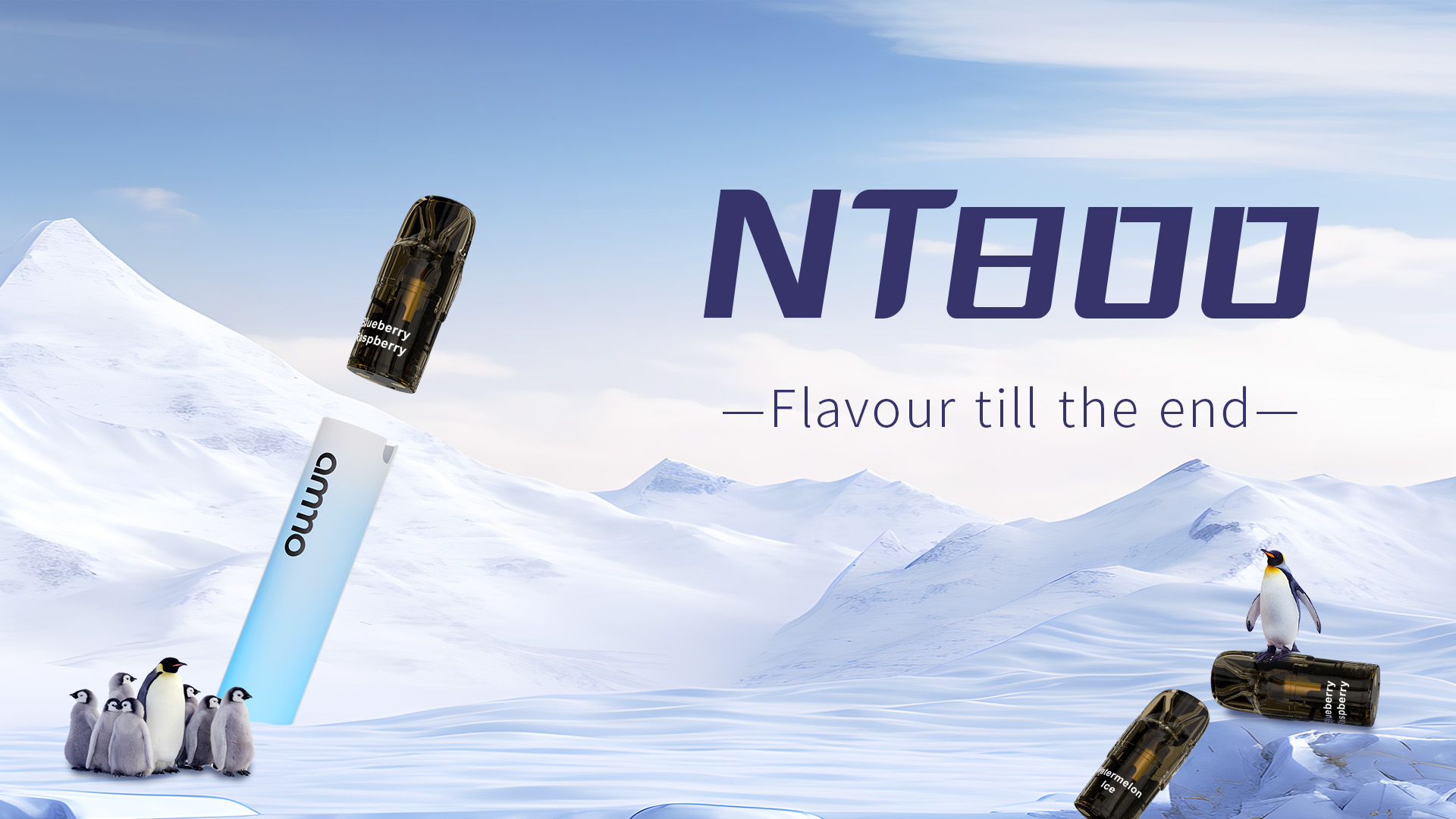 ammo NT800